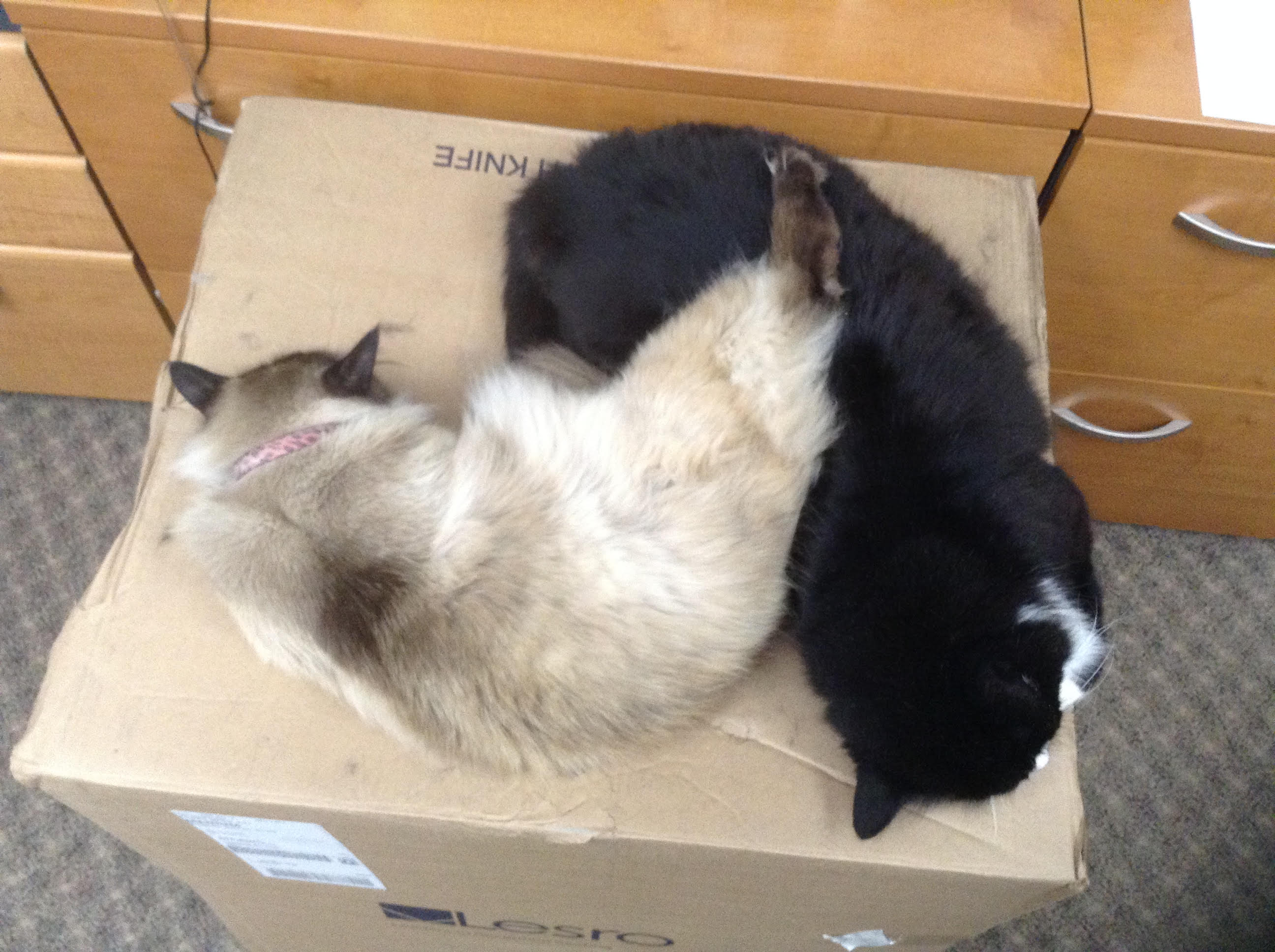 Chehalis Children's Clinic Tour the Office