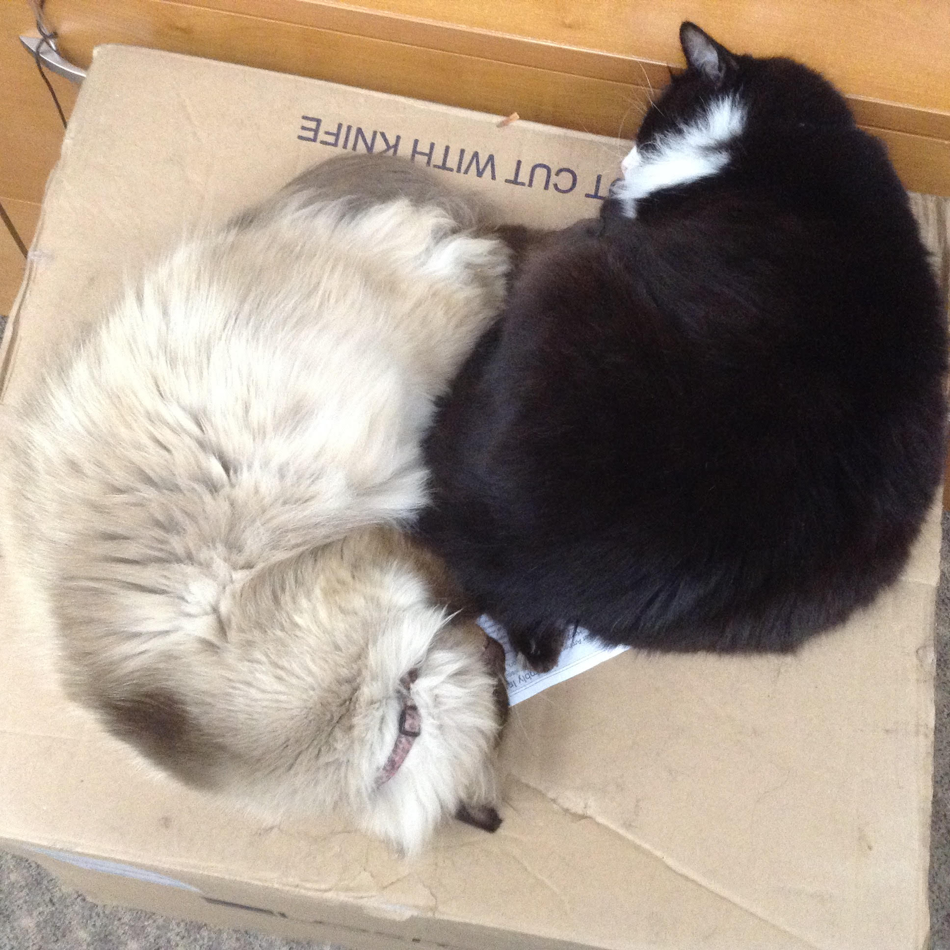 Chehalis Children's Clinic Tour the Office